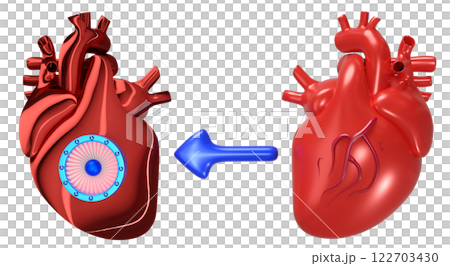 3d artificial heart with realistic human heart isolated. Future innovation, heart transplantation concept, 3d illustration render 122703430