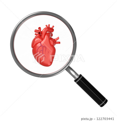 3d realistic human heart with magnifying glass isolated. health check concept, 3d illustration render 122703441