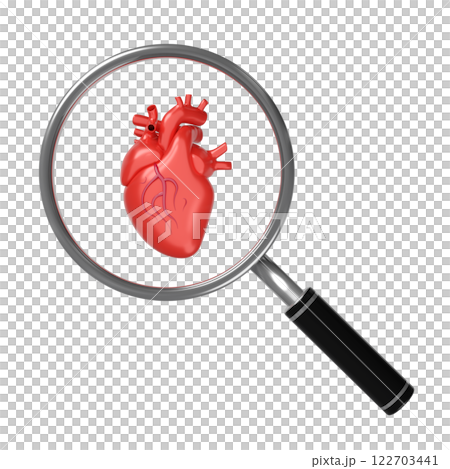 3d realistic human heart with magnifying glass isolated. health check concept, 3d illustration render 122703441