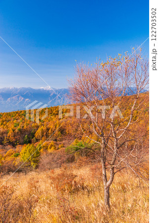 【山梨県】秋の清里、美し森展望台から見る南アルプス 122703502