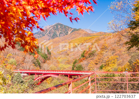 【山梨県】紅葉が美しい、清里の東沢大橋展望台 【山梨県】紅葉が美しい、清里の東沢大橋展望台 122703637