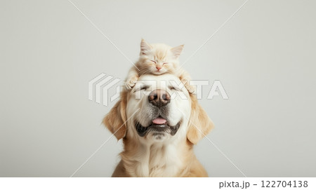 ペットの絆！仲良しの犬と子猫の微笑ましい姿 122704138