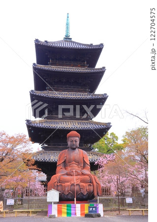 矢事山興正寺（名古屋市昭和区）に咲く満開の桜 122704575