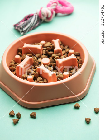 Innovative slow feeder bowl for dogs promoting healthy eating 122704761