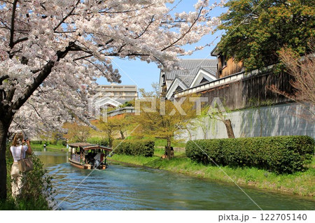 宇治川派流を遊覧する十石舟と満開の桜 宇治川派流を遊覧する十石舟と満開の桜 122705140