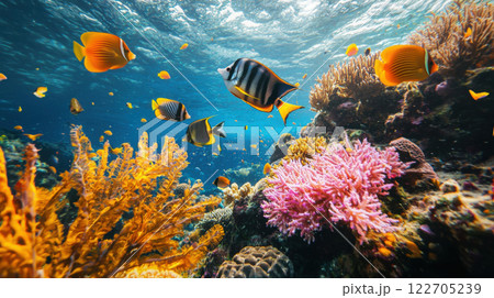 Biodiversity and sustainability living concept. Vibrant coral reef teeming with colorful fish and marine life under clear blue water 122705239
