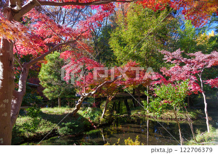 深大寺参道の秋の紅葉が美しい亀島弁財天池（東京都調布市深大寺） 122706379