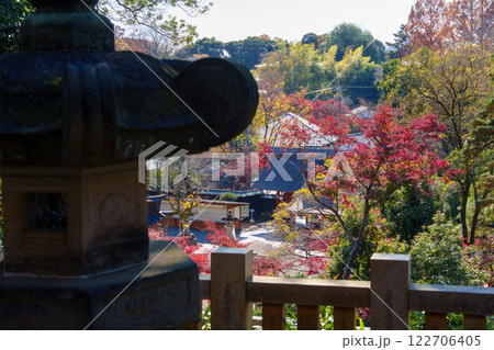 深大寺 開山堂から眺める秋の風景(東京都調布市深大寺) 深大寺 開山堂から眺める秋の風景(東京都調布市深大寺) 122706405
