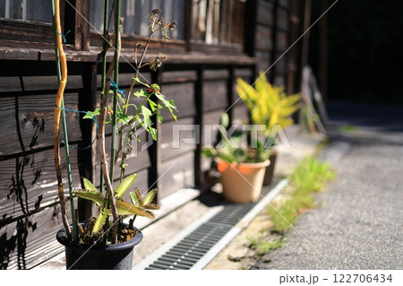 植木鉢 植木鉢 122706434