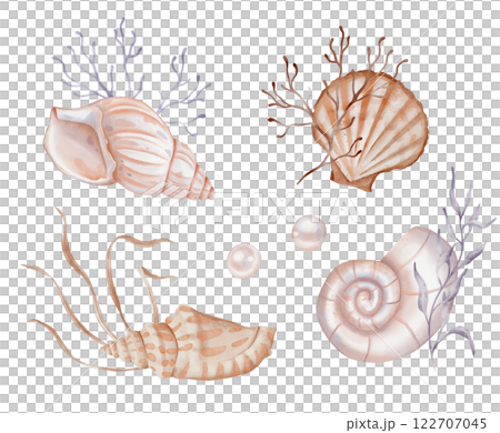 Watercolor set of compositions of Seashell and Seaweed, pearls. hand drawn illustration of pastel color Sea Shell and Algae on isolated background. Undersea element for design in marine vintage style. Watercolor set of compositions of Seashell and Seaweed, pearls. hand drawn illustration of pastel color Sea Shell and Algae on isolated background. Undersea element for design in marine vintage style. 122707045