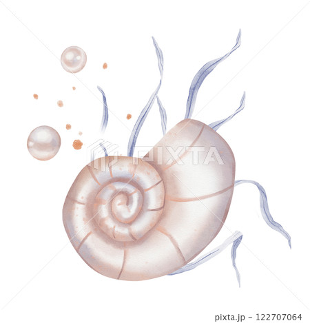 Watercolor composition of Seashell and Seaweed, pearl. Hand drawn illustration of Sea Shell and violet Algae on isolated background. Undersea element for design in marine vintage style. 122707064