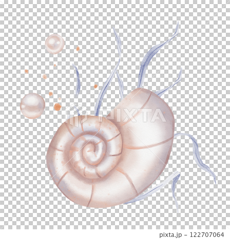 Watercolor composition of Seashell and Seaweed, pearl. Hand drawn illustration of Sea Shell and violet Algae on isolated background. Undersea element for design in marine vintage style. 122707064