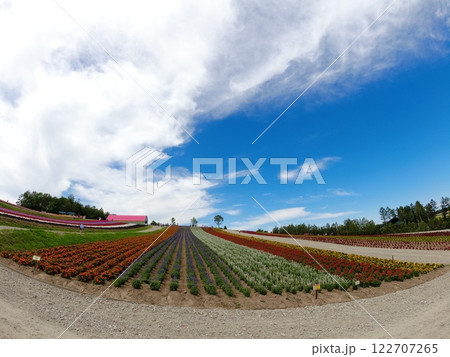 青空バックにカラフルな花々が咲く丘の情景 青空バックにカラフルな花々が咲く丘の情景 122707265