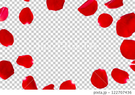 Frame Red rose petals isolated on white background. Decorated for love greetings on valentines day or wedding Isolate on transparent background PNG file Frame Red rose petals isolated on white background. Decorated for love greetings on valentines day or wedding Isolate on transparent background PNG file 122707436