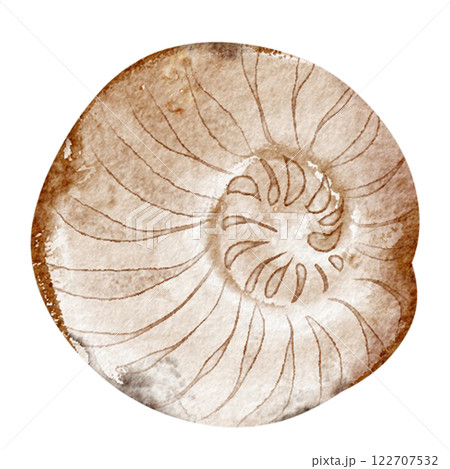 Watercolor illustration seashell on white background. Hand drawn painting of wild underwater conch. Marine or ocean undersea life. Drawing shellfish for marine life holiday celebration templates. 122707532