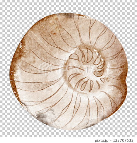 Watercolor illustration seashell on white background. Hand drawn painting of wild underwater conch. Marine or ocean undersea life. Drawing shellfish for marine life holiday celebration templates. 122707532