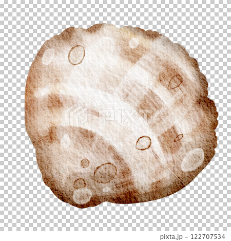 Watercolor illustration seashell on white background. Hand drawn painting of wild underwater conch. Marine or ocean undersea life. Drawing shellfish for marine life holiday celebration templates. 122707534