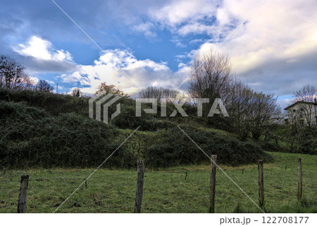 white clouds black branches white clouds black branches 122708177