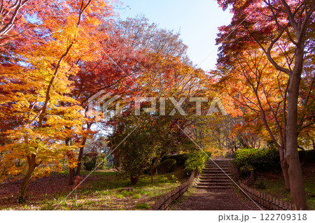 秋の神代植物公園の紅葉（東京都調布市） 122709318