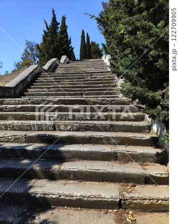 Steps leading upwards between greenery on a sunny day in a tranquil outdoor setting Steps leading upwards between greenery on a sunny day in a tranquil outdoor setting 122709905