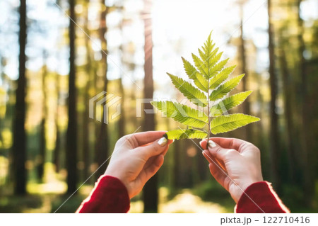 Hands holding fern leaf in sunlit forest, showcasing nature concept 122710416