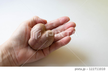 Ugly heart-shaped potato, unusual vegetable, cute vegetable potato-valentine, rare find, funny potato, vegetable symbol of love 122711010