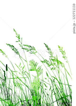 green grass silhouettes . hand drawing. Not AI Vector illustration green grass silhouettes . hand drawing. Not AI Vector illustration 122711110