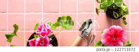 Flowers on pink tile background Flowers on pink tile background 122711672