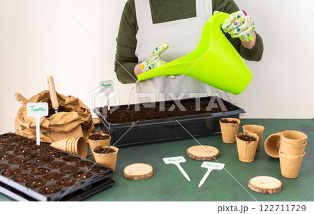 Woman planting tomato and pepper seeds on seedlings at home 122711729