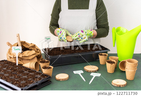 Woman planting tomato and pepper seeds on seedlings at home 122711730