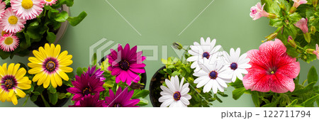 Flowers on a green background 122711794