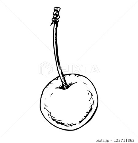 Elegant ink sketch of a single cherry with a stem, drawn in monochrome style. Perfect for recipe designs, food labels, packaging, and decorative elements for cards, prints, and creative projects Elegant ink sketch of a single cherry with a stem, drawn in monochrome style. Perfect for recipe designs, food labels, packaging, and decorative elements for cards, prints, and creative projects 122711862