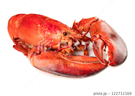 Red lobster on white background Red lobster on white background 122712168