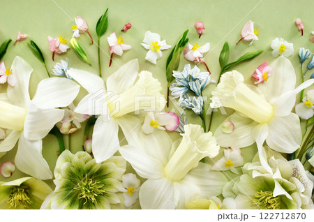 Blossoming white and light yellow daffodils, pink hyacinths and spring flowers festive background, bright springtime bouquet floral card, selective focus, shallow DOF Blossoming white and light yellow daffodils, pink hyacinths and spring flowers festive background, bright springtime bouquet floral card, selective focus, shallow DOF 122712870