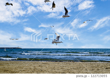 Beautiful photo of seagulls flying over the shore of the beach under the cloudy sky 122713055