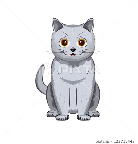 猫|ブリティッシュ・ショートヘア 猫|ブリティッシュ・ショートヘア 122713448