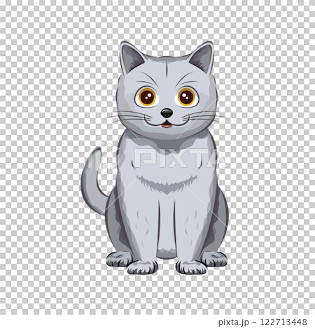 猫|ブリティッシュ・ショートヘア 猫|ブリティッシュ・ショートヘア 122713448