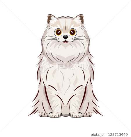 猫|ペルシャ 猫|ペルシャ 122713449
