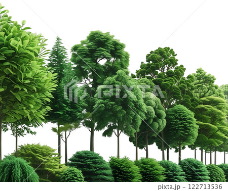a lush green tree line isolated on a transparent background. The image a variety of trees with different leaf shapes and sizes, creating a dense and natural look 122713536