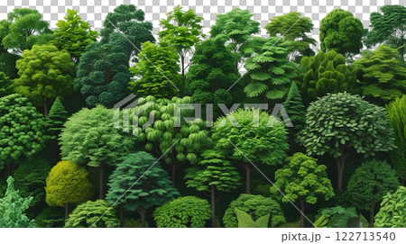 a lush green tree line isolated on a transparent background. The image a variety of trees with different leaf shapes and sizes, creating a dense and natural look a lush green tree line isolated on a transparent background. The image a variety of trees with different leaf shapes and sizes, creating a dense and natural look 122713540