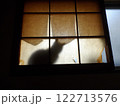 襤褸障子の向こうに猫 122713576