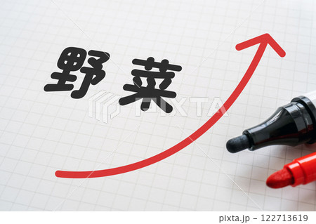 野菜の文字と矢印が書かれたノート 122713619