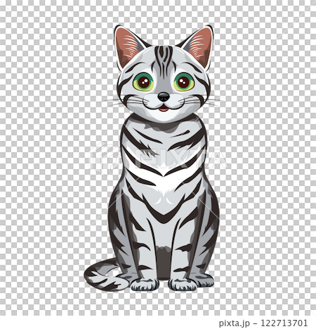 Cat | American Shorthair 122713701