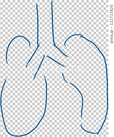 Hand-drawn illustration of lungs 122713820