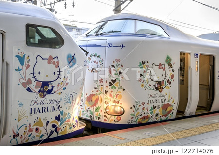 関空特急はるか、271系と281系の併結部分 122714076