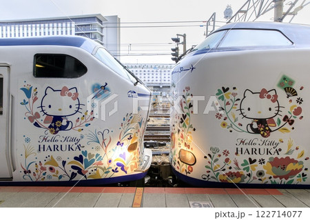 関空特急はるか、271系と281系の併結部分 関空特急はるか、271系と281系の併結部分 122714077