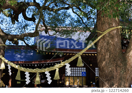 ロマンチックな雰囲気が漂う神社の境内 122714260