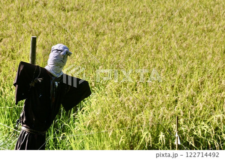遠野ふるさと村・田園・稲作(岩手県・遠野市) 遠野ふるさと村・田園・稲作(岩手県・遠野市) 122714492