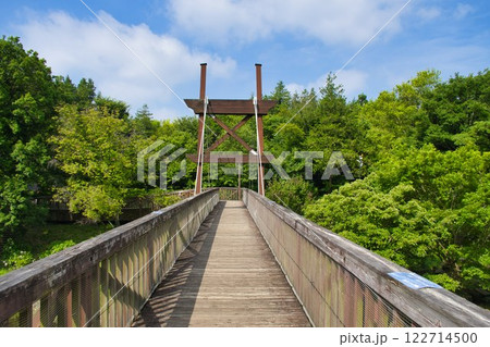 【大和市】泉の森・緑のかけ橋 122714500