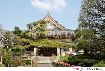 春爛漫の永寿院 春爛漫の永寿院 122714677
